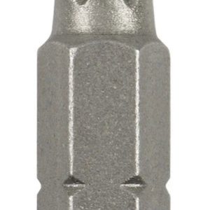 Uzgaļi skrūvēšanas t10 25mm 2gb