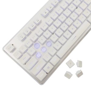 White Shark GK-003241 Tachi White US
