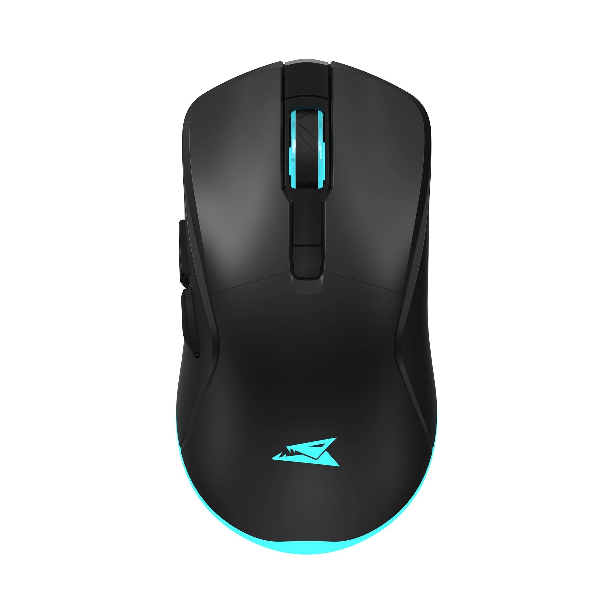 Baracuda TURTLE-B BGM-121, Black