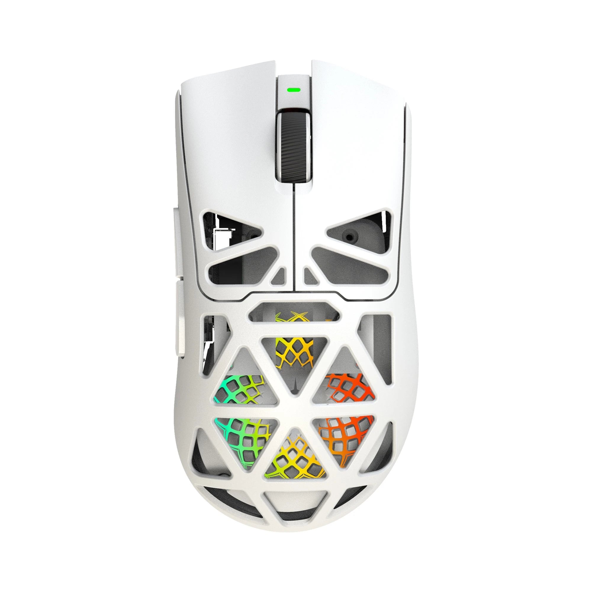 White Shark MORIEN WGM-5025 White