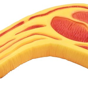 Rotaļlieta suņiem Steiks 15cm