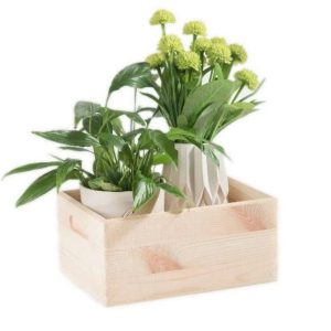 Kaste Domoletti 508400, priede, 33 cm x 25 cm