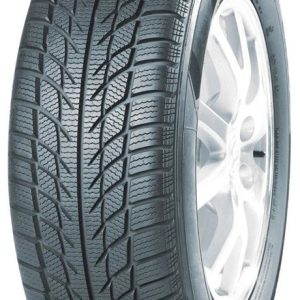 Ziemas riepa West Lake SW608 205/55/R16