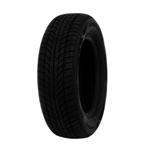 Ziemas riepa sw608 195/65r15