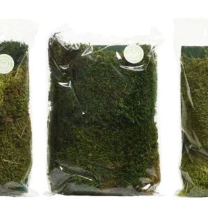Dekoratīvās sūnas. 110g