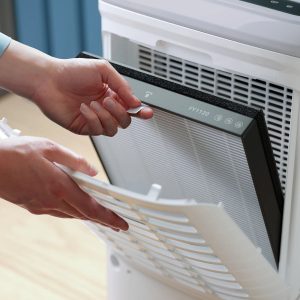 Gaisa sausinātājs Philips DE5305/11. 245 W