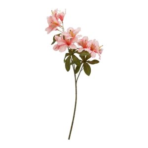 ZARS MĀKSLĪGS PL8000060 65CM 3 DIZAINI