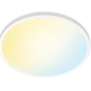 GRIESTU LAMPA 24W 2700-6500K 2400LM BALT