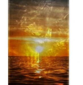 iKins case for Apple iPhone 8/7 sunset white